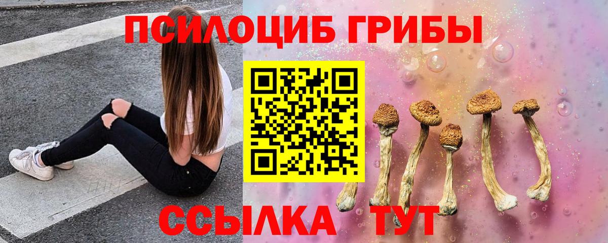 Галлюциногенные грибы GOLDEN TEACHER  даркнет сайт  Галлюциногенные грибы Psilocybe  Щёлково  Вход с VPN 